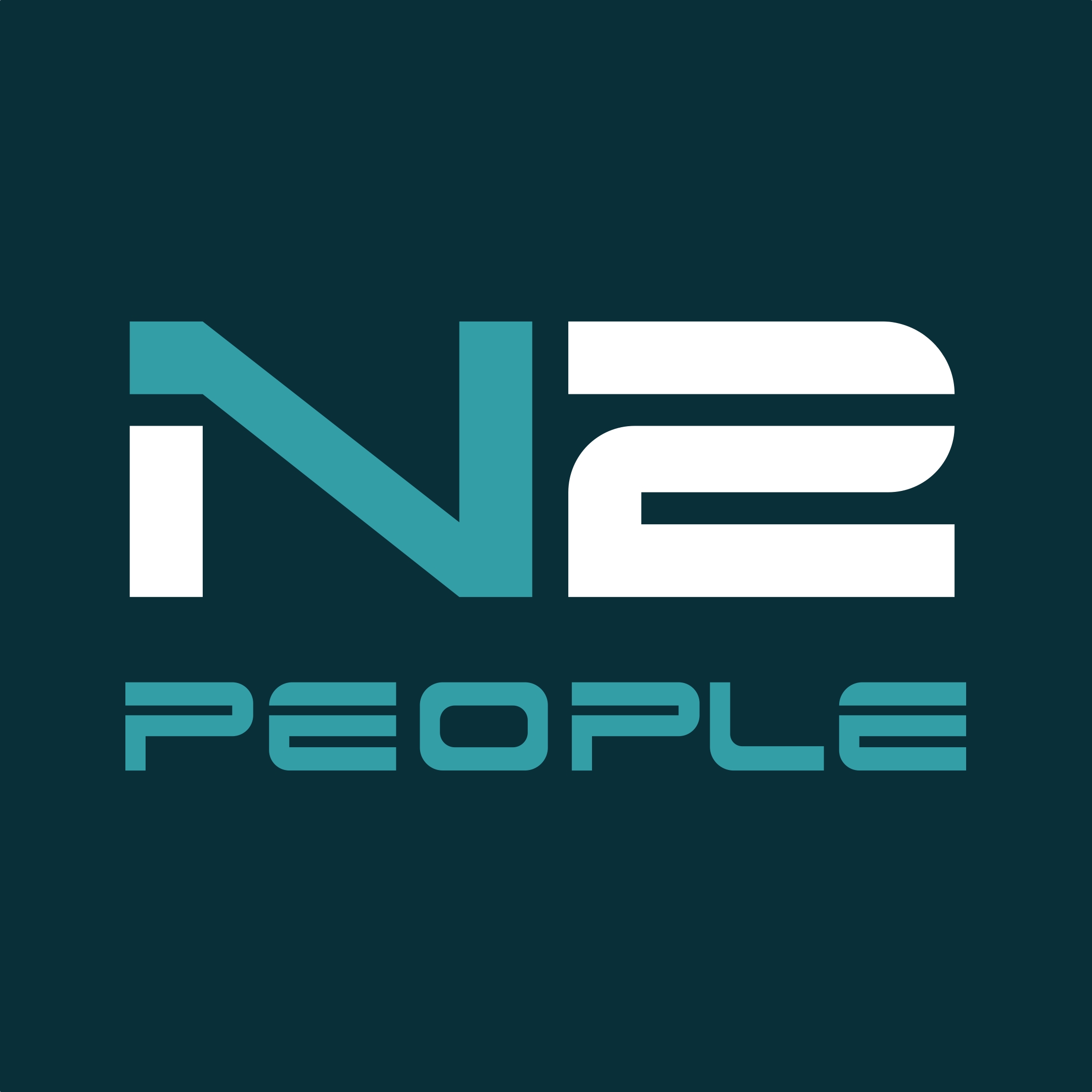 Logo N2 People